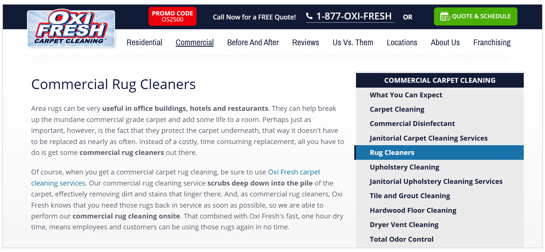 Carpet cleaning service page example